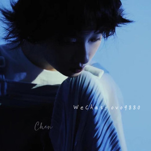 毛片手机在线观看
