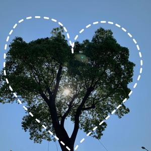 毛片手机在线观看
