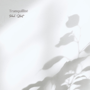 毛片手机在线观看
